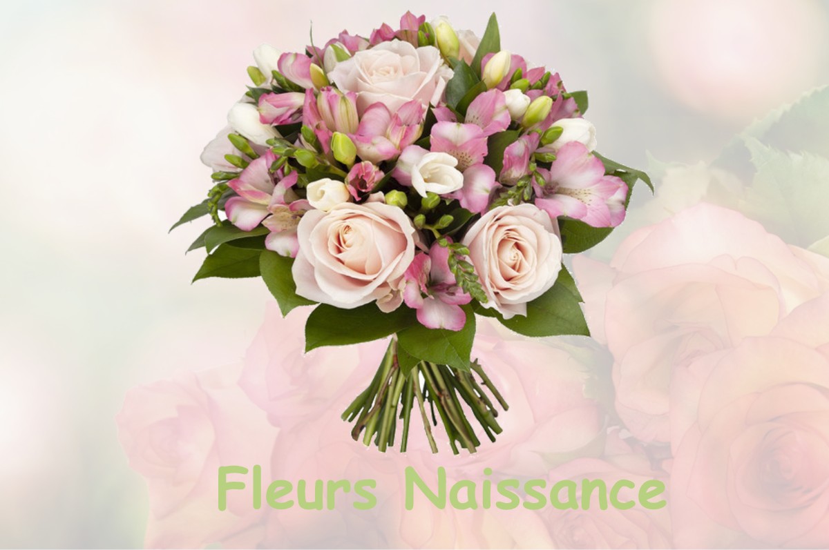 fleurs naissance FETIGNY